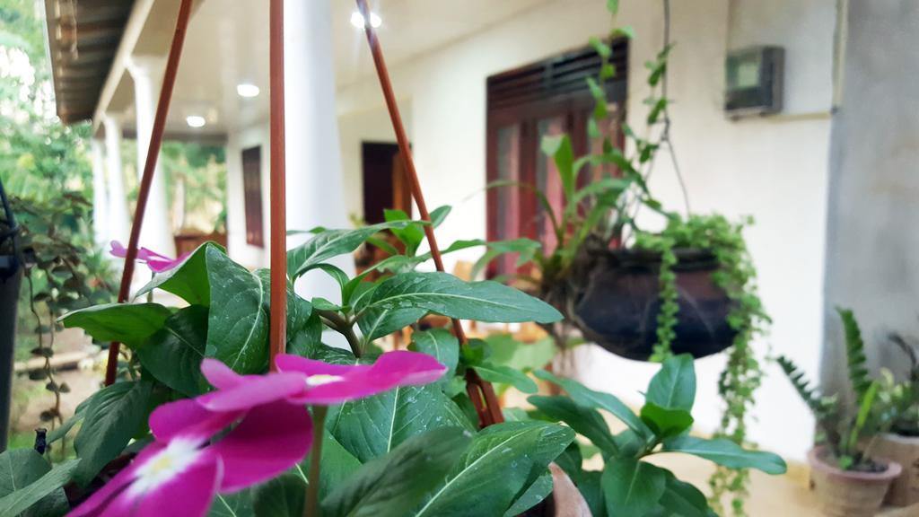 Kassapa Home Stay Sigiriya Bagian luar foto